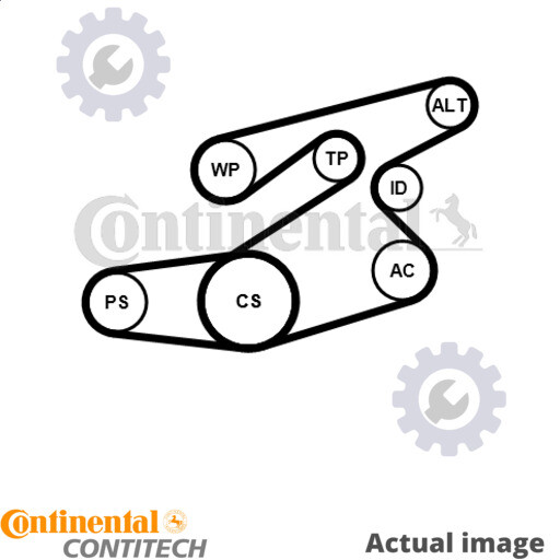 VRIBBED BELT SET FOR BMW 3/E90/E91 M47D20 N47D20A/C 4cyl