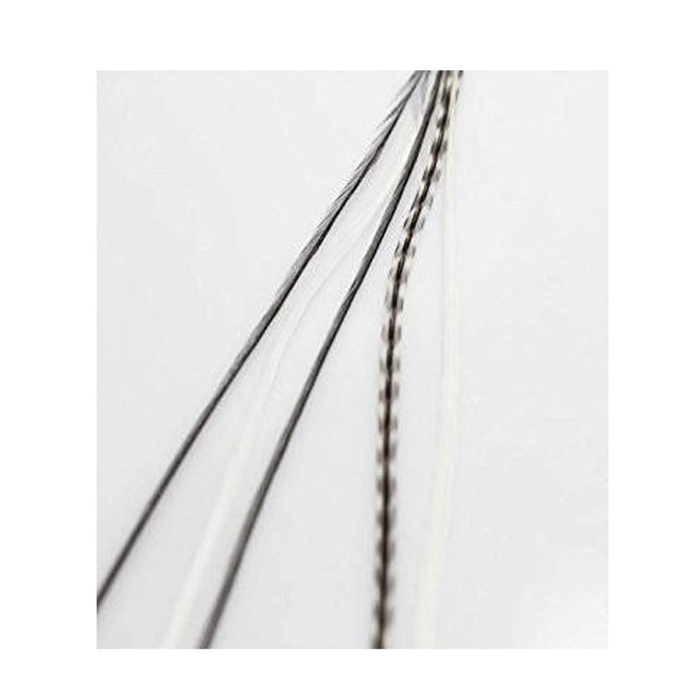 4-6 inch Zebra Black White 100% Real Hair 5 Feather Extensions bonded at the tip - Image 3 of 4