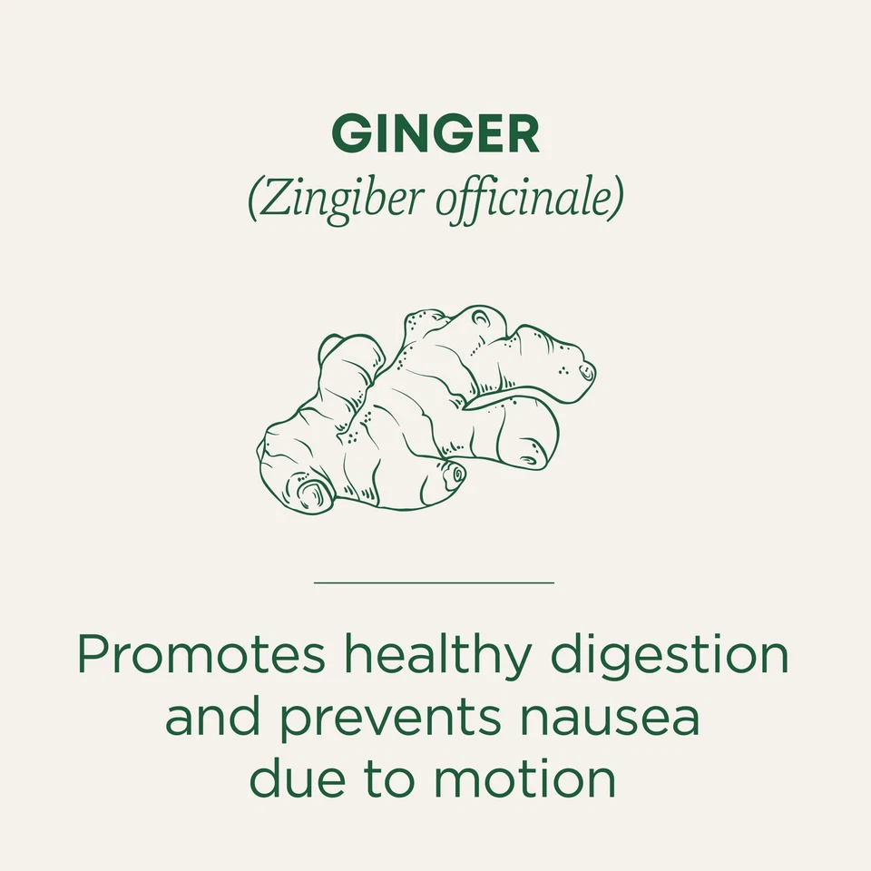 Paquete de 6 hierbas de té de jengibre orgánico sin cafeína apoya la digestión náuseas Foto 2 de 4