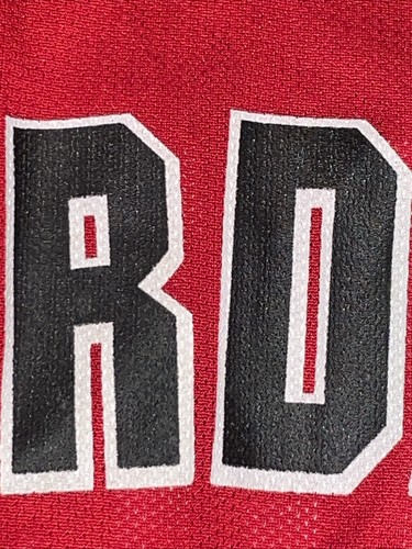 Maglia 100% Autentica Michael Jordan Vintage Champion 95 96 Bulls 44 L Taglio Pro - Foto 12 di 20