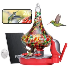 Glass Smart Hummingbird Feeder with Camera Solar Powered - AI Identify & Wate...