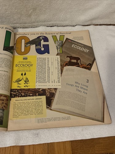 Vintage Life Magazine October 15 1971 Disney World Opens FREE SHIP - Picture 14 of 15