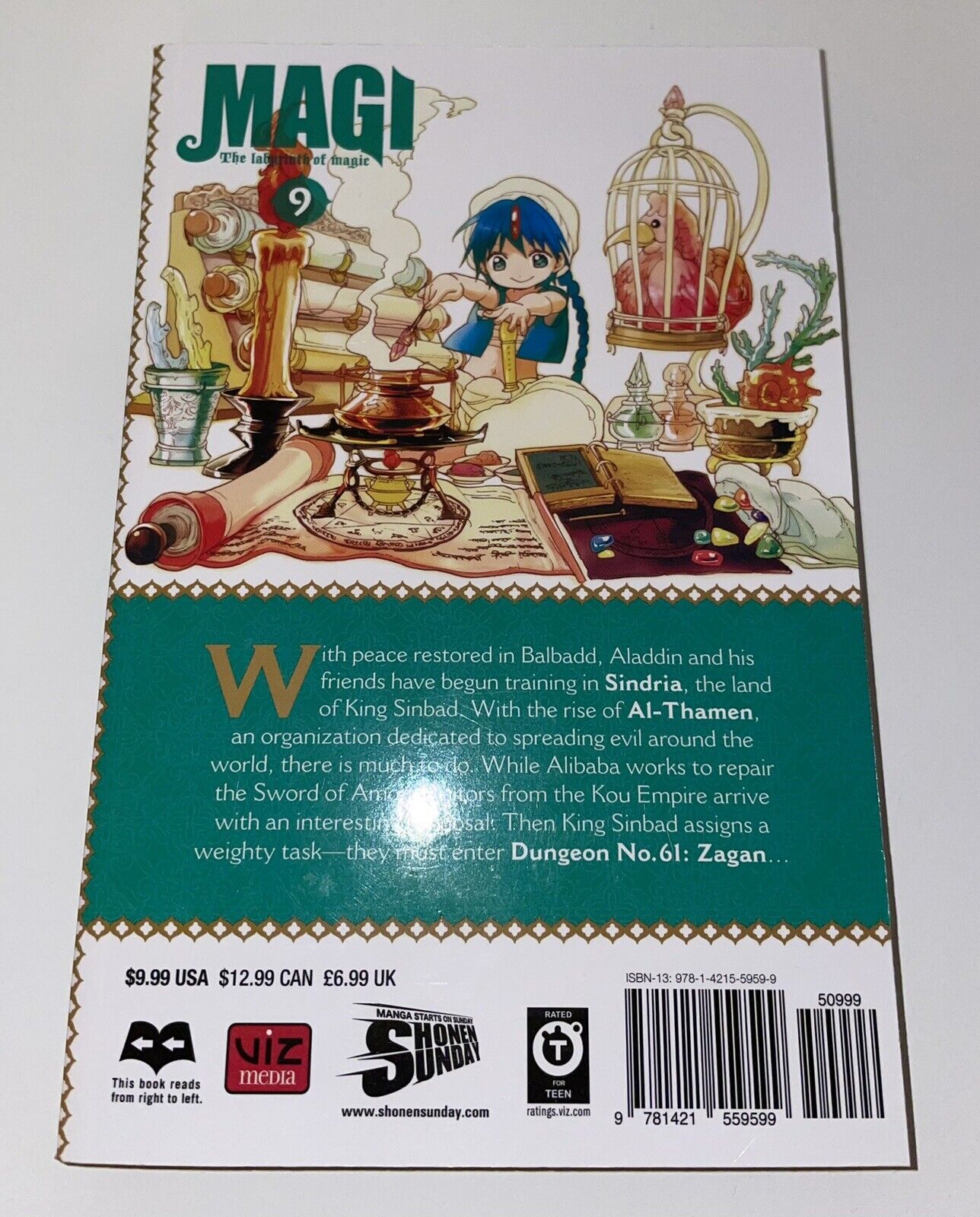 Magi: The Labyrinth of Magic, Vol. 9