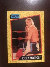1991 Impel WCW #99 - Ricky Morton - Wrestling