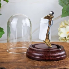 Medicinal Doctor Leech glass Dome Display specimen Taxidermy Oddity curiosity