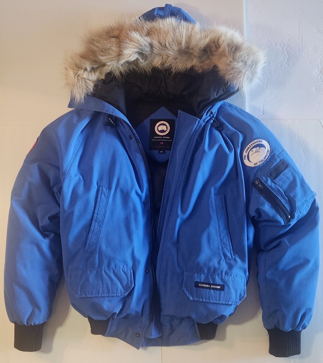 Hood Goose Bomber Jacket Canada Goose Pbi Chilliwack CANADA GOOSE