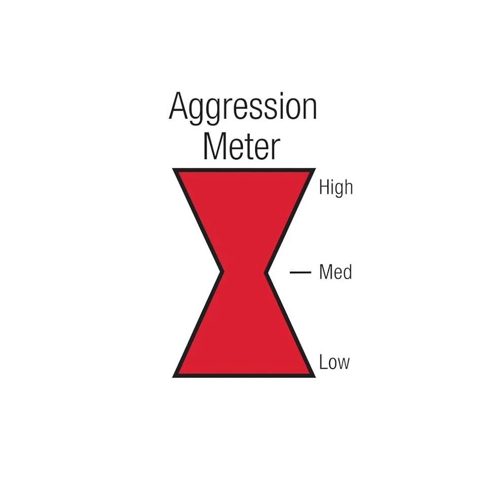 Exhaust System - Neighborhater, 3" BW0012-30, Performance Muffler - Image 2 of 2