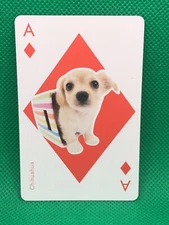 Chihuahua Diamond A THE DOG Playing card  Artlist Collection Japan
