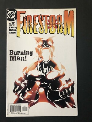 DC Comics Firestorm #2 (2004)