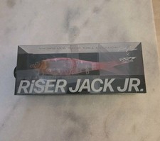 Fish Arrow DRT Riser Jack Jr Pink Shad Monster Jack Custom JDM Swimbait Klash