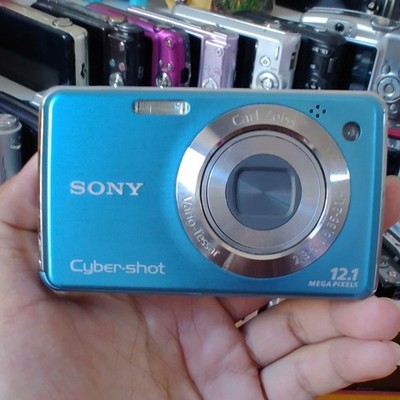 Sony Cyber-Shot DSC-W220 Digital Camera 12.1 MP 4x Optical Zoom