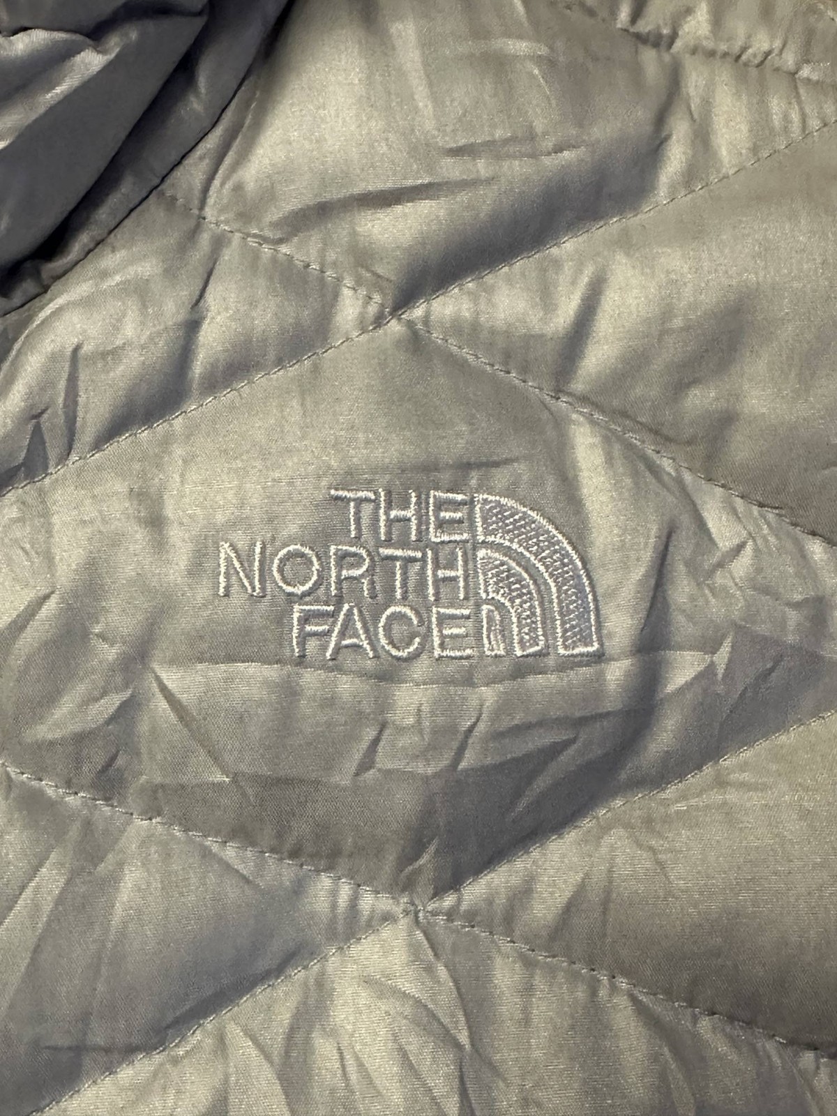The North Face Women’s 550 Gilet Size Small Silver image 2