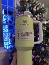 Stanley x Target Limited Quencher Tumbler 40 Oz Brand New Citron Colorblock Cup