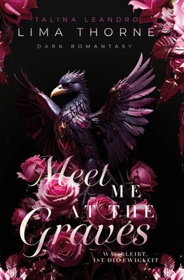 Meet Me At the Graves Was bleibt, ist die Ewigkeit Talina Leandro (u. a.) Buch