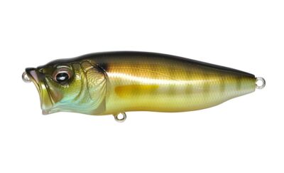 MEGABASS Popmax POP MAX - Gill - Topwater Bass Lure Premium
