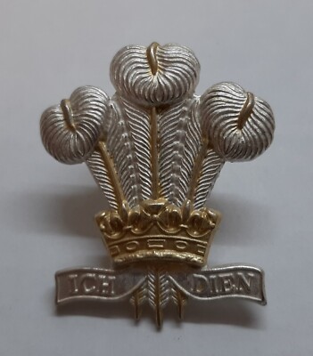 Distintivo Per Berretto – Reggimento Carro Armato Reale – Argento – Taglia Unica