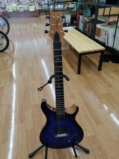 PAUL REED SMITH SE Paul's Guitar Electric Guitar