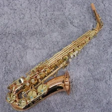 Yanagisawa A-WO2 Eb Alto Saxophone Bronze Brass Craftsmanship with Case NEW