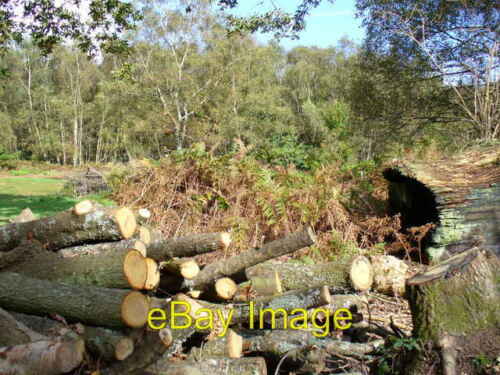 Foto 6x4 Logpile in der Nähe von Eastshaw Farm Tote Hill\/SU8624 frisch geschnittene Stämme l c2006 - Bild 1 von 1