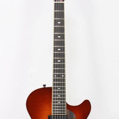 Sadowsky Semi Hollow Model Caramel Burst made in japan Electric
