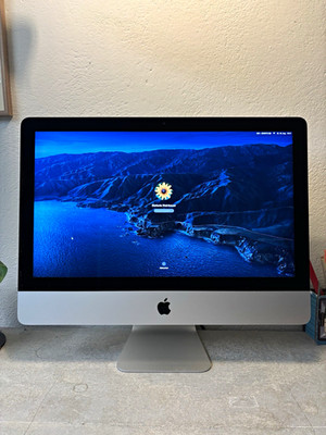 Apple iMac 21,5'' Retina 4K (Ende 2015) i5 3,1GHz 8GB 512GB SSD silber