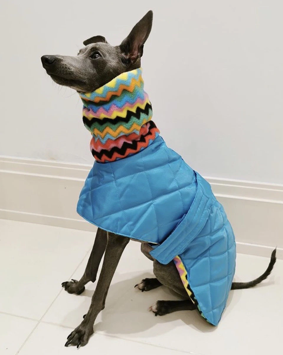 Custom top winter coats