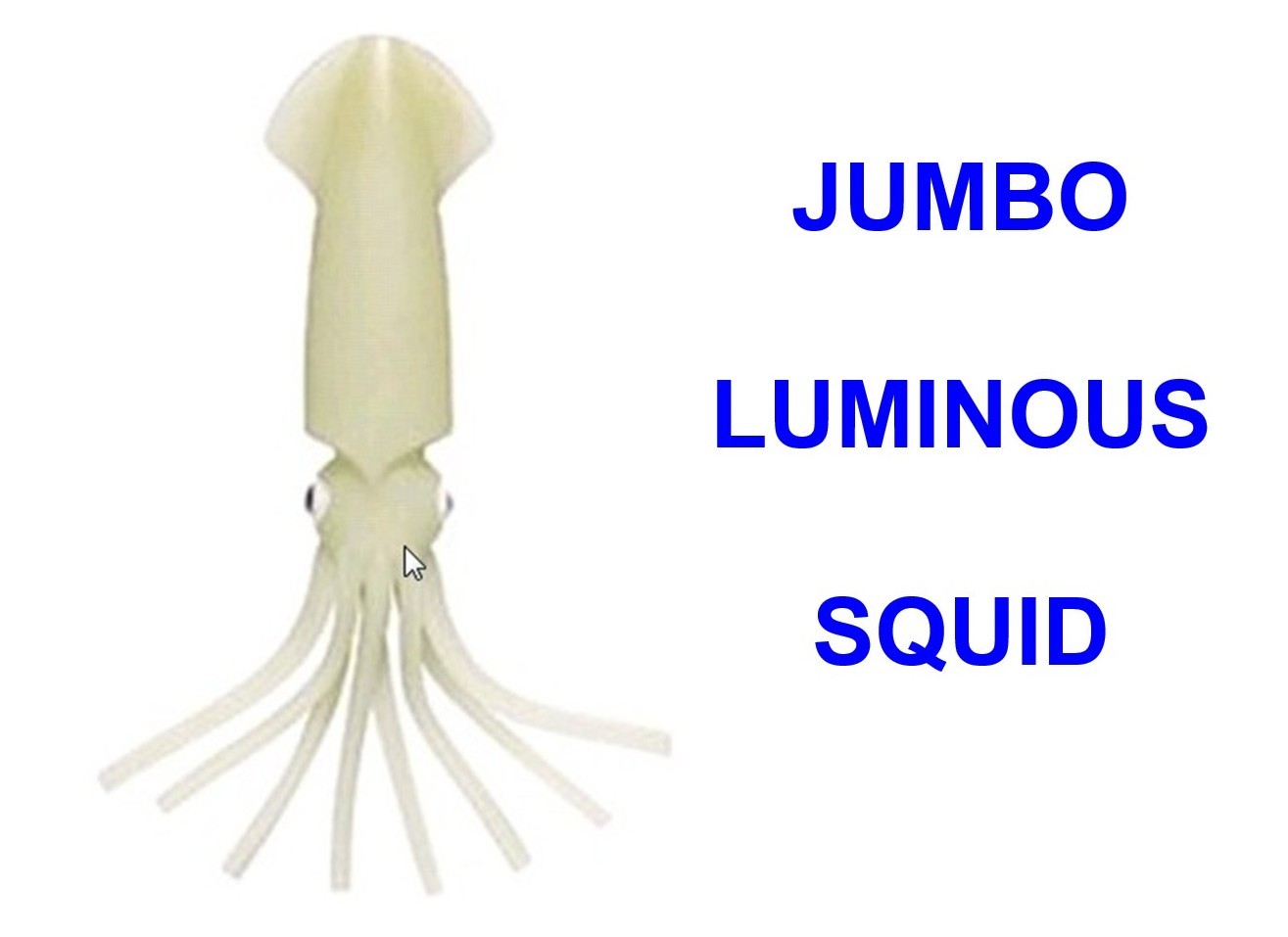 6"" JUMBO LUMINOUS SQUID SOFT BAIT MUPPET POLLOCK COD LURE SEA FISHING TACKLE