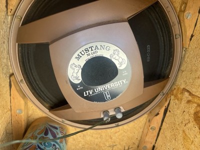 Mustang M-12d Lab University Speaker Pair