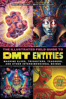 The Illustrated Field Guide to DMT Entities by David Jay Brown Paperback