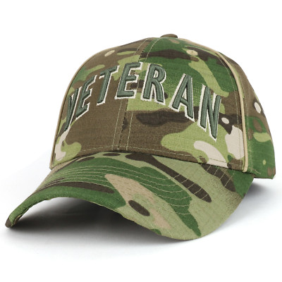 Veteran Font 3D Embroidered Cmouflage Print Structured Baseball