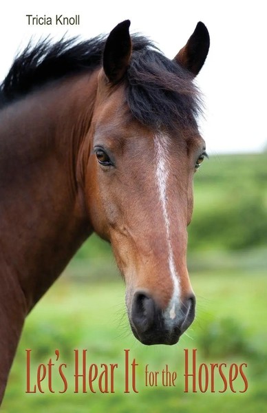 Let's Hear It For The Horses Tricia Knoll Taschenbuch Kartoniert / Broschiert-image