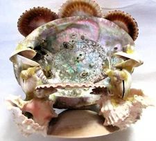 VINTAGE SEA SHELLS FROGS PLAYING CARDS WITH BIG ABALONE SHELL ROOF