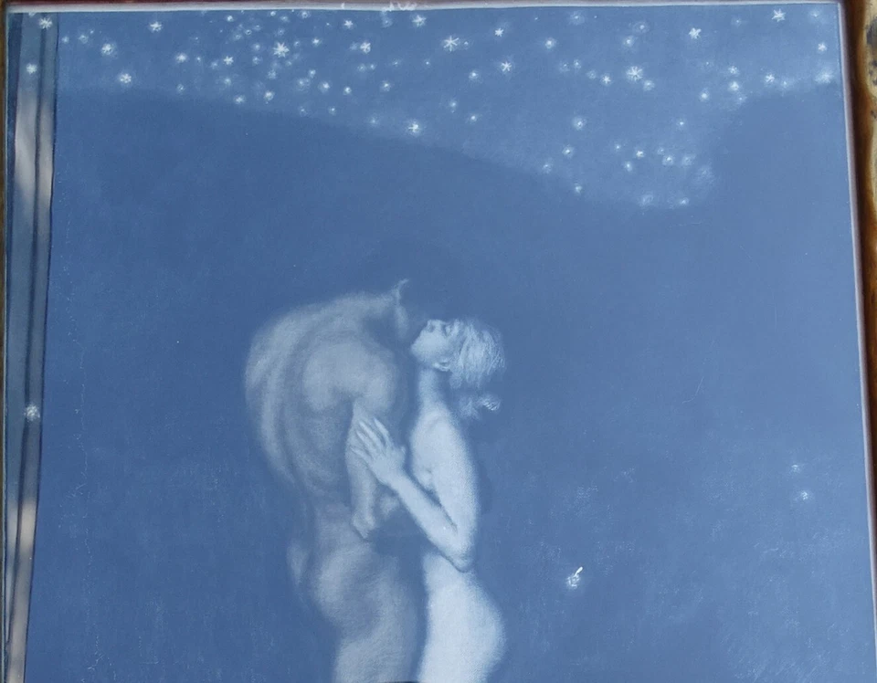 Franz Hanfstaengl Paar in der sternenklaren Nacht Franz von Stuck 1910 in Rahmen - Bild 2 von 4