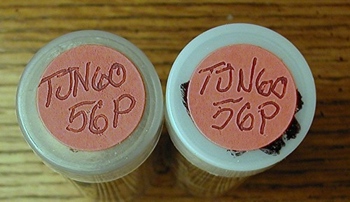 Jefferson Nickel Rolls 1956-P NICKELS VG TO BU++ 71 Nickels - Picture 2 of 2