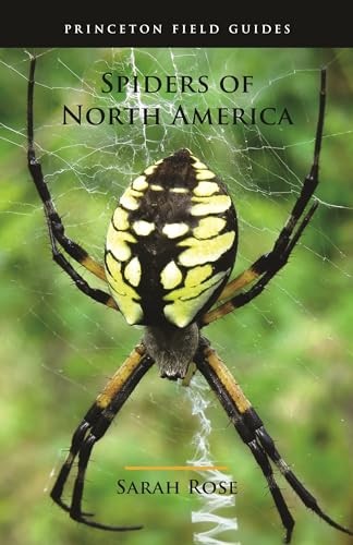 Spiders of North America by Sarah Rose, Eric R. Eaton - - Image 7