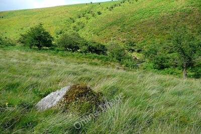 Foto 6x4 nahe Black Hill Oareford ein Abschnitt des Zugangslandes im Norden c2010