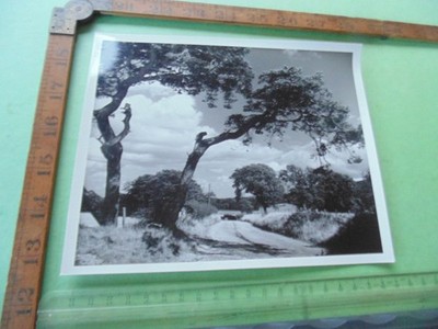 Vintage Foto ''Corfe to Studland Road'' ca. 1950er Jahre von Stevens of Wareham