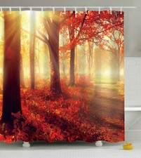 Red Autumn Trees Sunlight Fabric SHOWER CURTAIN w/Hooks Forest Path Woods Fall