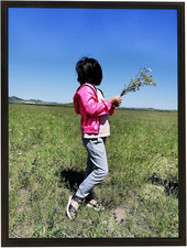 8.5x11 Aluminum Black Picture Frame w/ Plastic Cover - Certificates Frame