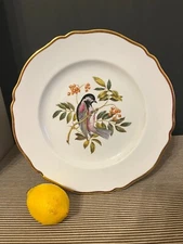 Spode Copeland Hand Painted Dinner Plate Bird "Chestnut-back Chicadee" Gold Trim