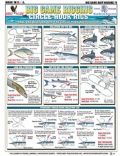 Bait Rigging Chart 6 - Circle Hook Rigs