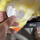 Ty Classic  "QUACKIE" the Duck-2000-VINTAGE- With Tag  — photo 3