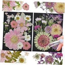  White Dried Pressed Flowers, 40Pcs Real Nature Flowers Set with Tweezers, 