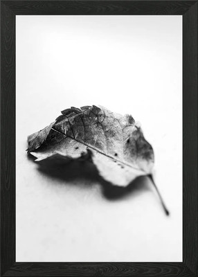 Getrocknetes Blatt Nahaufnahme gerahmtes Wandbild Poster Leinwanddruck Bild