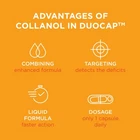 Collanol Liquid Joint Support Double Capsule 3D Collagen Turmeric Extract