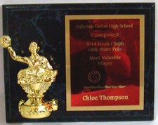 Water Polo Plaque with water polo figure - 7" x 9" - Free Engraving