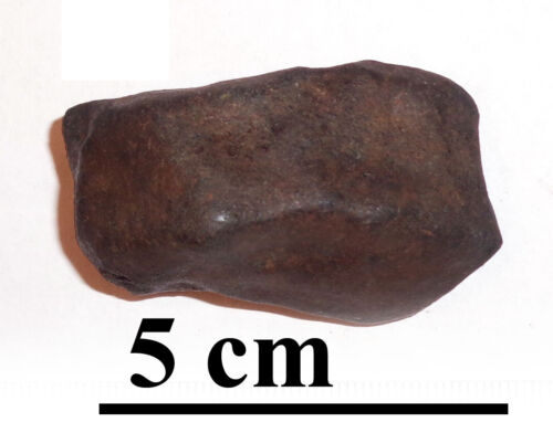 NEWEST! OZERKI meteorite L6, fall June 21, 2018, Russia, individual 75.4 grams - Picture 1 of 9