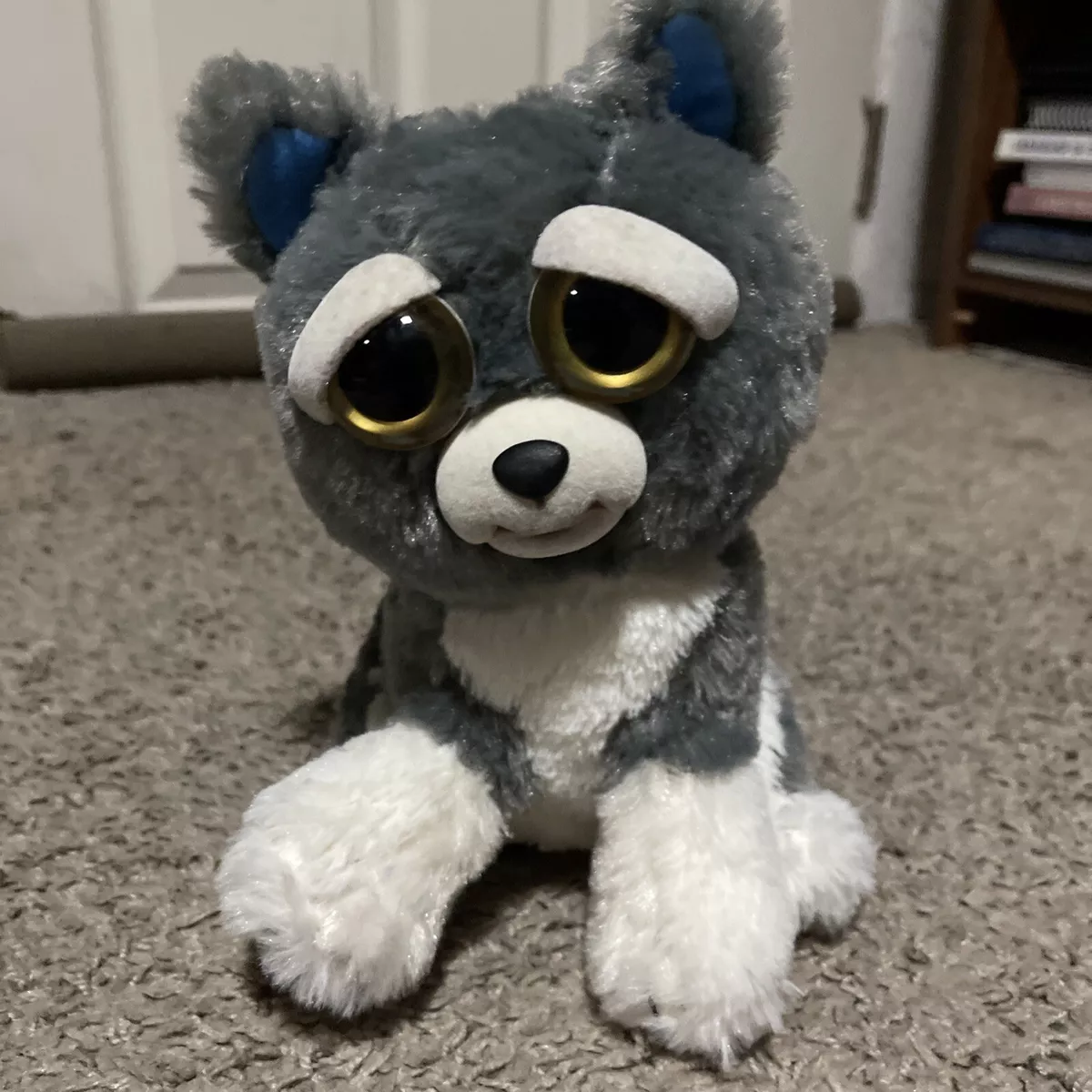 Feisty pets husky new arrivals