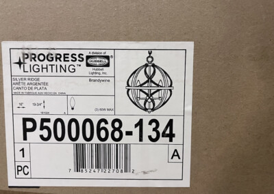 Progress Lighting P500068-134 Brandywine Pendant Light Fixture Silver Ridge NEW