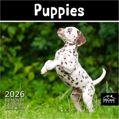 Puppies 2026 Wall Calendar 12 Month | 12'' x 24'' Open | Thick & Sturdy Paper | Ho